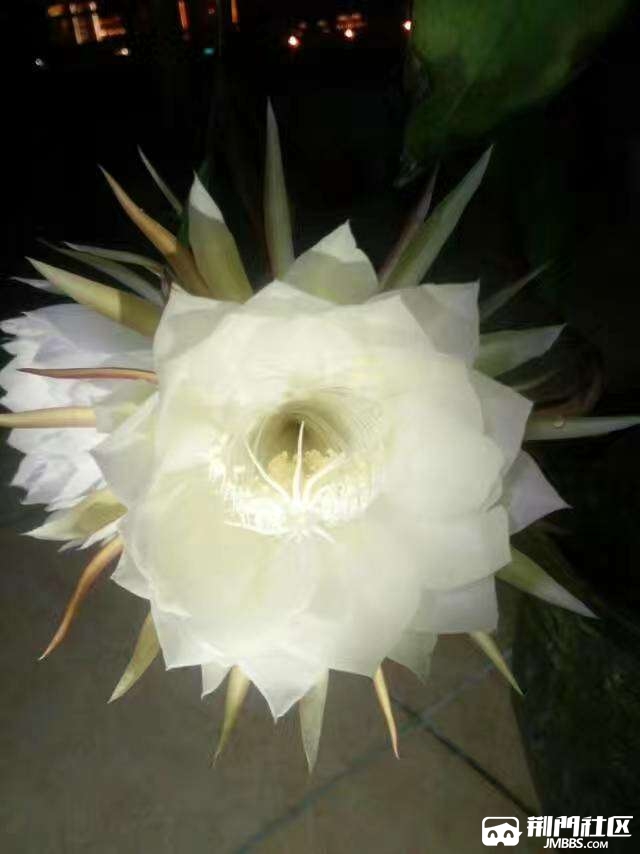 20170526_3435618_1495778010781.jpg