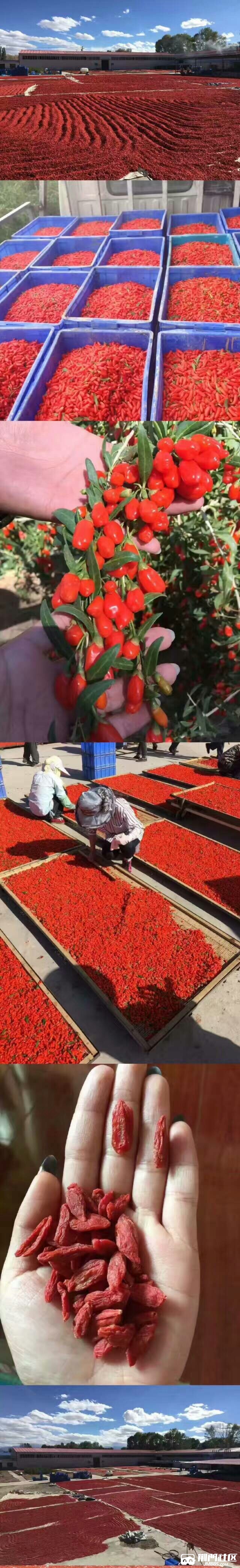 image.jpeg