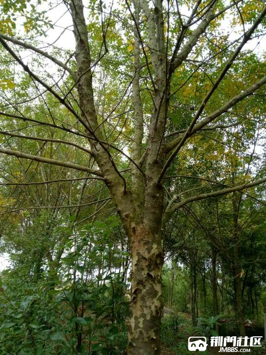 20171025_1777408_1508933610399.jpg