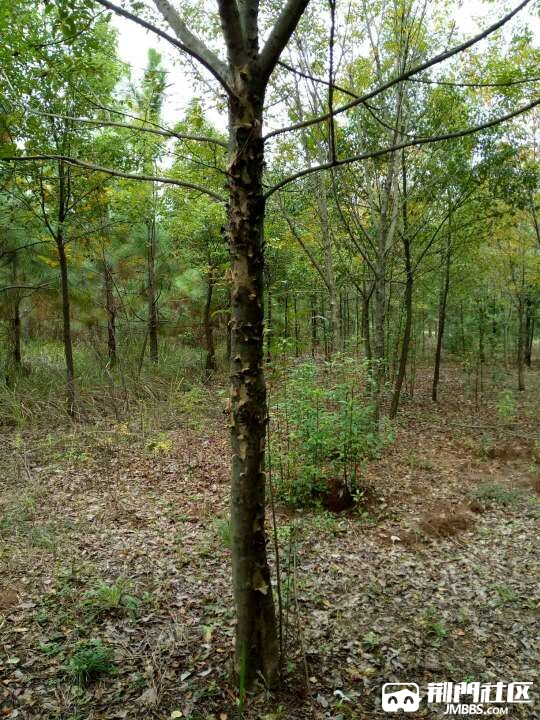 20171025_1777408_1508933610783.jpg