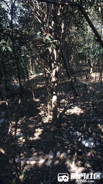20171101961621509506140569468.jpg