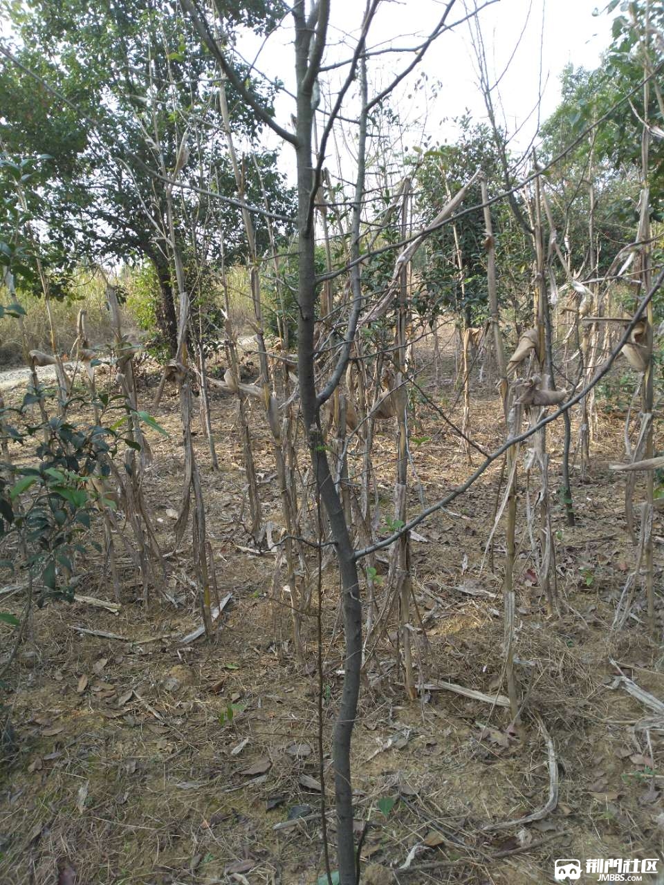20171104_3460590_1509798849332.jpg