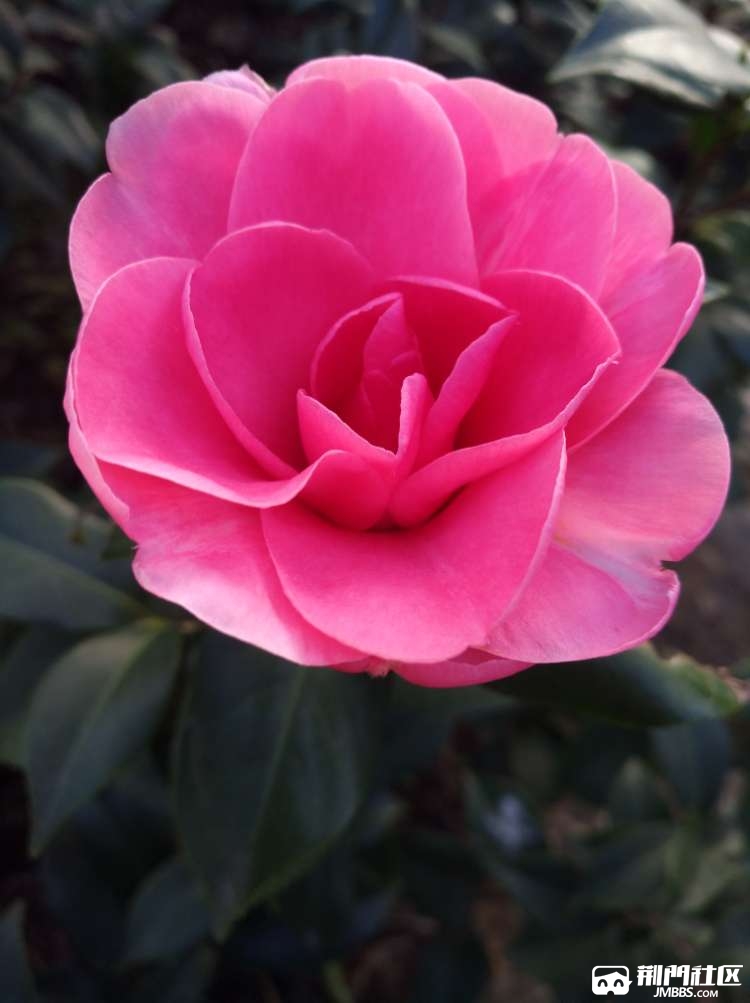 20171106_89251_1509964140949.jpg