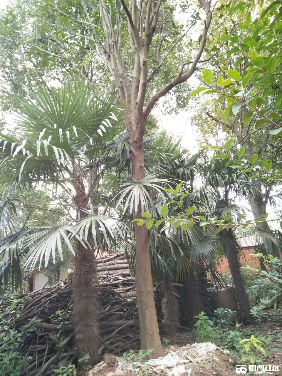 20171108_1290857_1510133167260.jpg