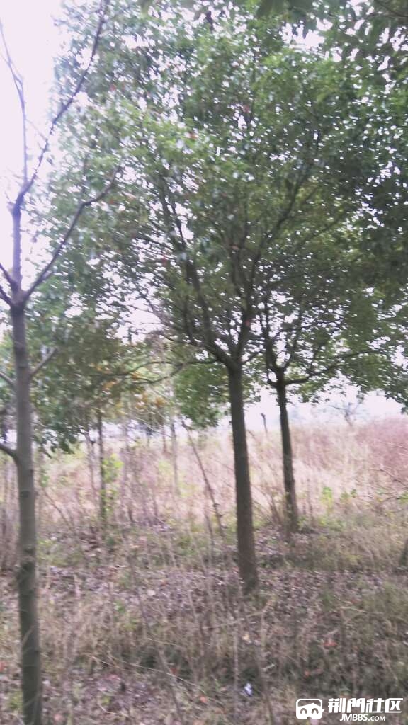 20171110_2944072_1510305906673.jpg