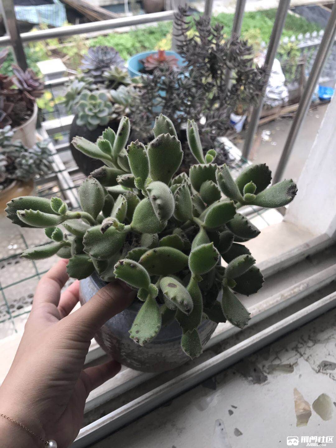 ��ͯ�ӣ�58Ԫ/��