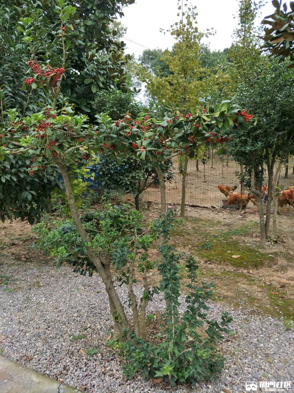 20171114_3348943_1510634195993.jpg