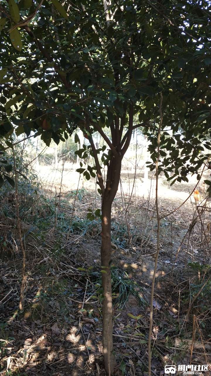 20180112_3467419_1515724167856.jpg