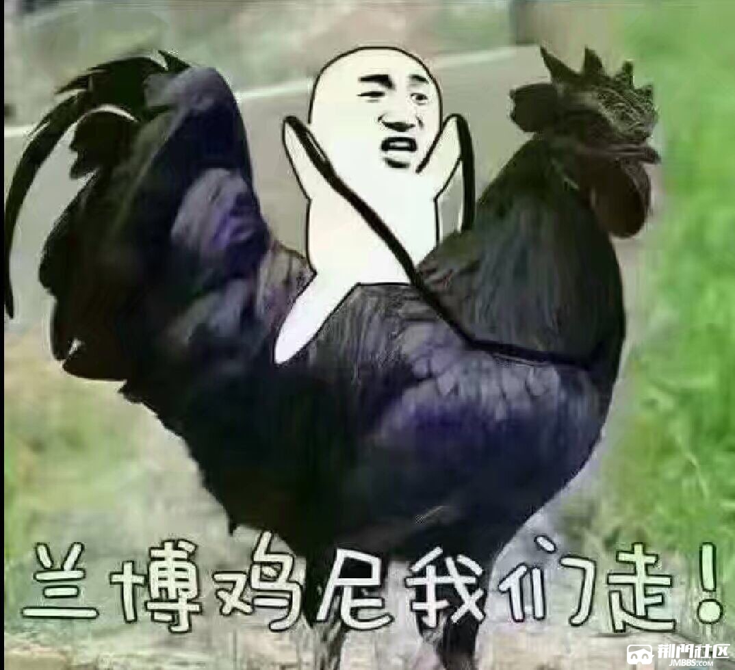 2018020126863921517492802395553.jpg