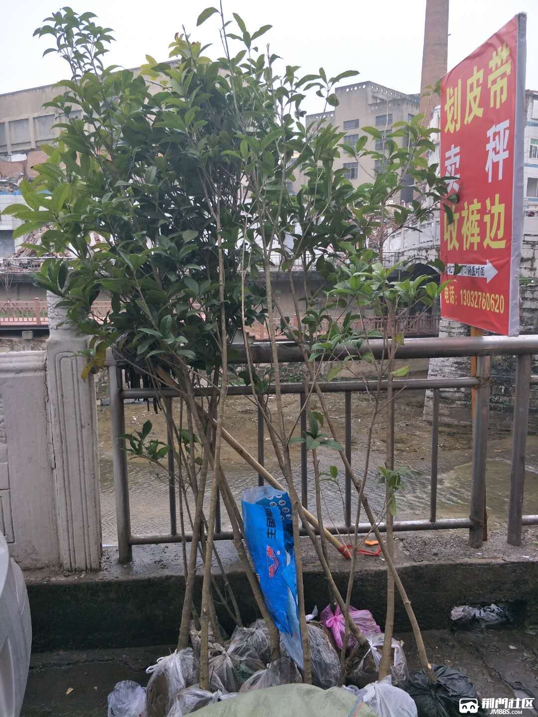 QQͼƬ20180304144412.jpg