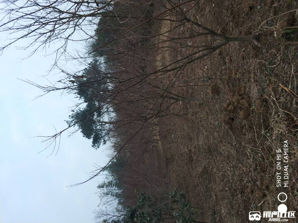QQͼƬ20180310152701.jpg