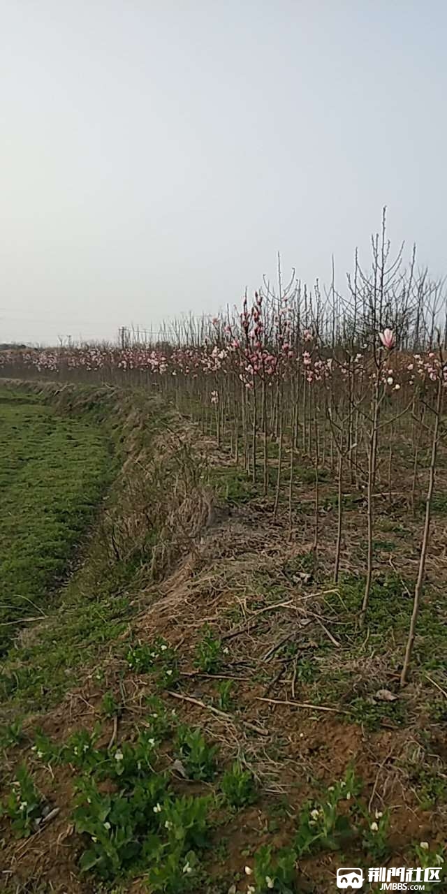 20180321_3187917_1521624429054.jpg