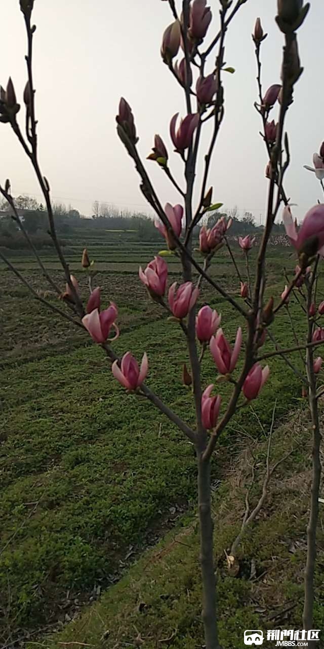 20180321_3187917_1521624429129.jpg