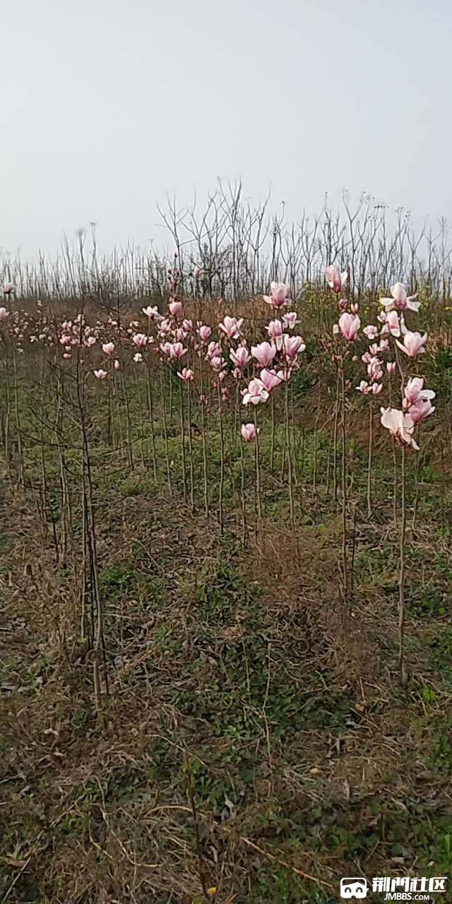20180321_3187917_1521624429180.jpg
