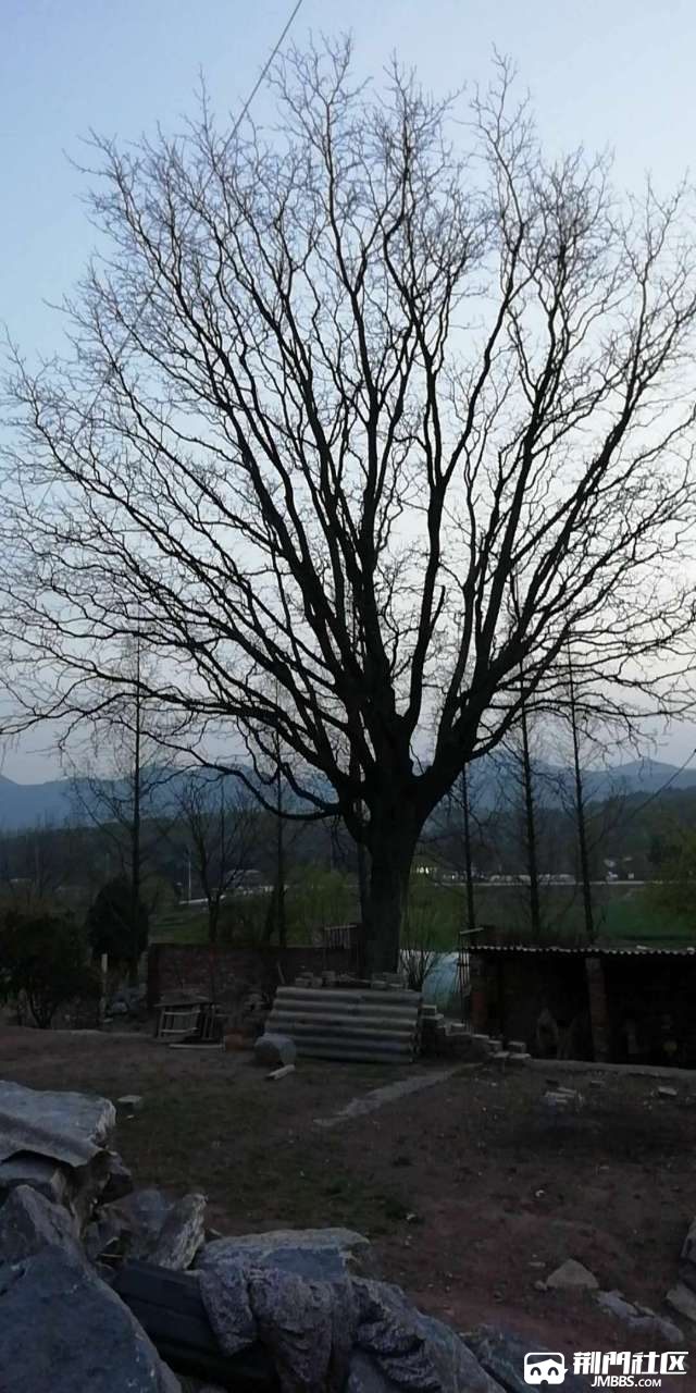 20180327_3305926_1522149174916.jpg