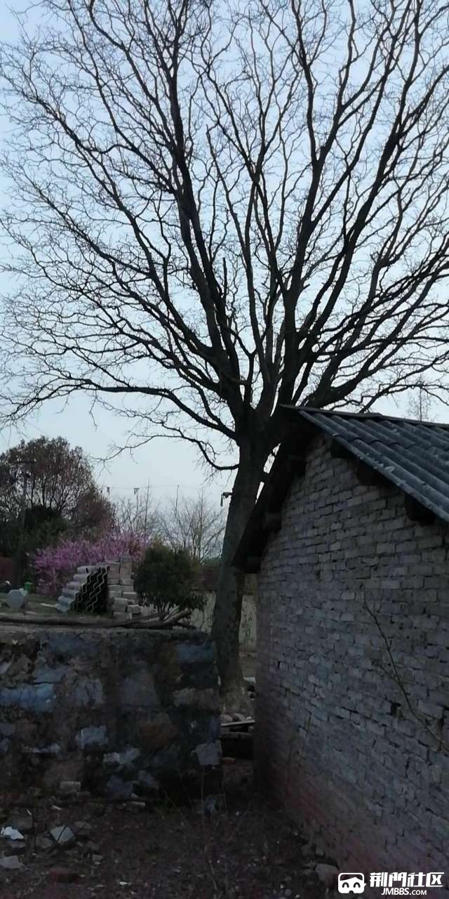 20180327_3305926_1522149174836.jpg