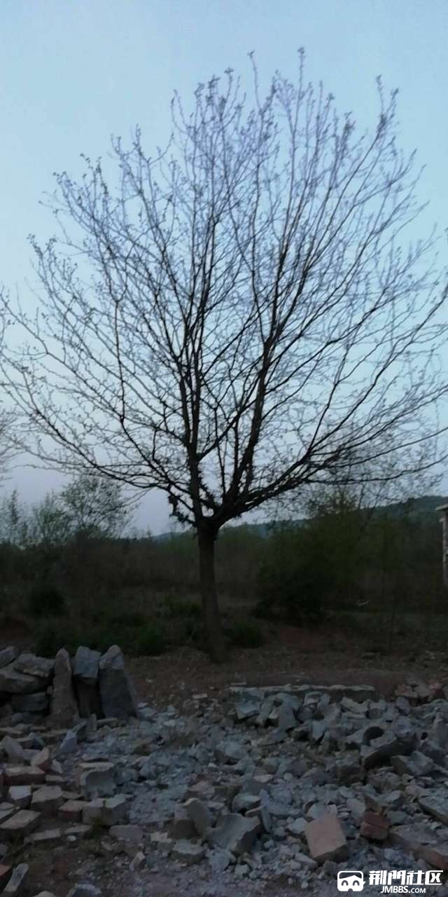 20180327_3305926_1522149174993.jpg