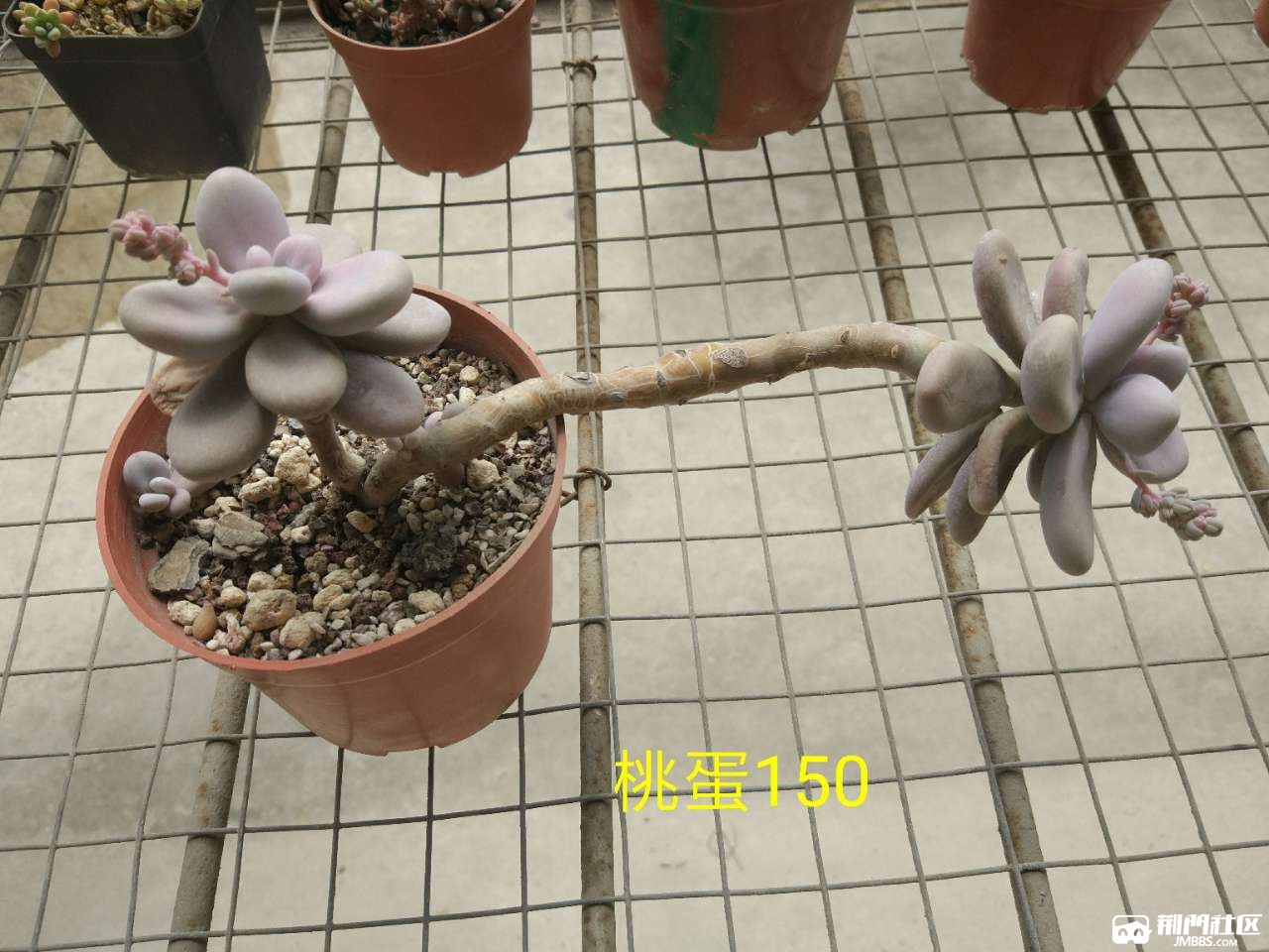 20180406_712623_1522984702973.jpg
