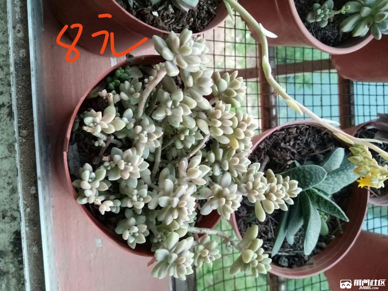 20180419_556863_1524110590504.jpg