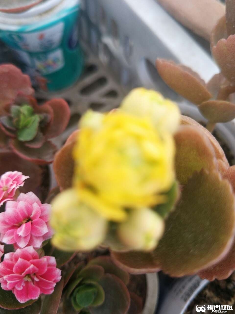 20180420_3469467_1524226407585.jpg