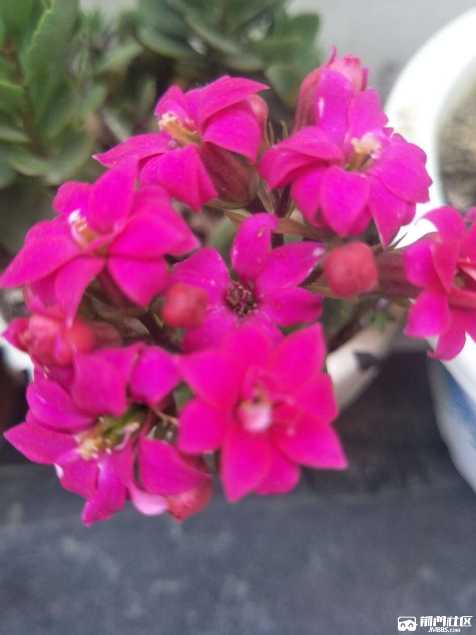20180420_3469467_1524226407240.jpg