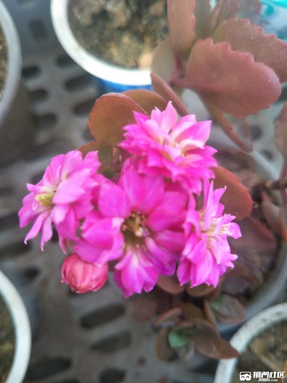 20180420_3469467_1524226407936.jpg