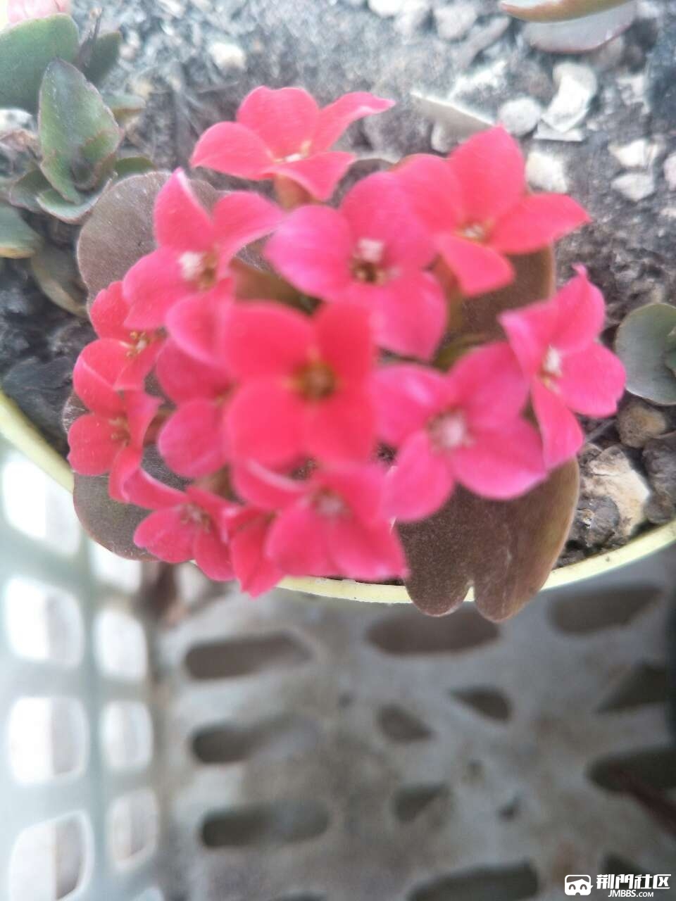 20180420_3469467_1524226408653.jpg