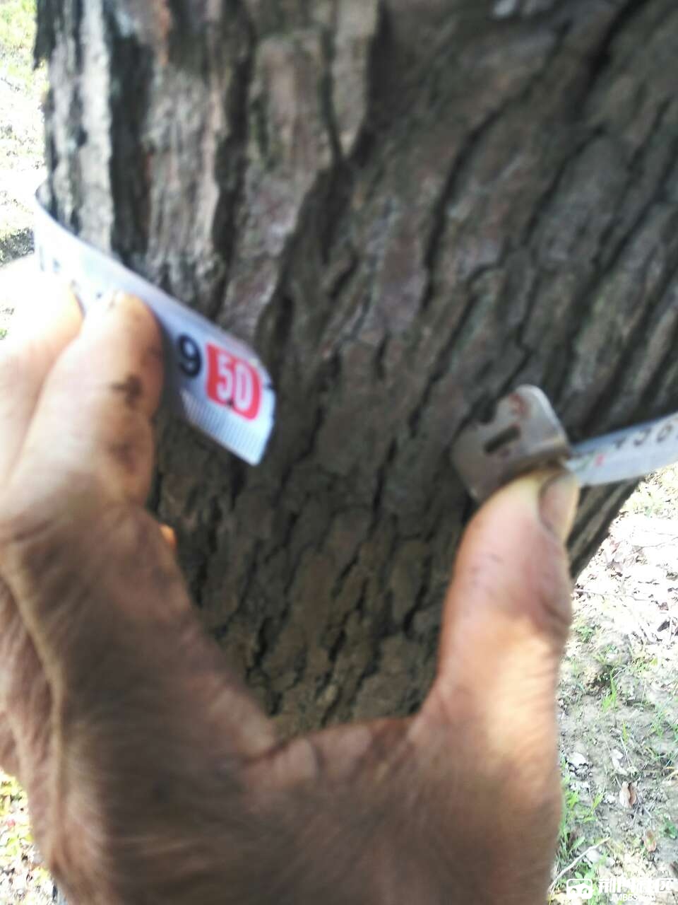 20180427_2944072_1524809308574.jpg
