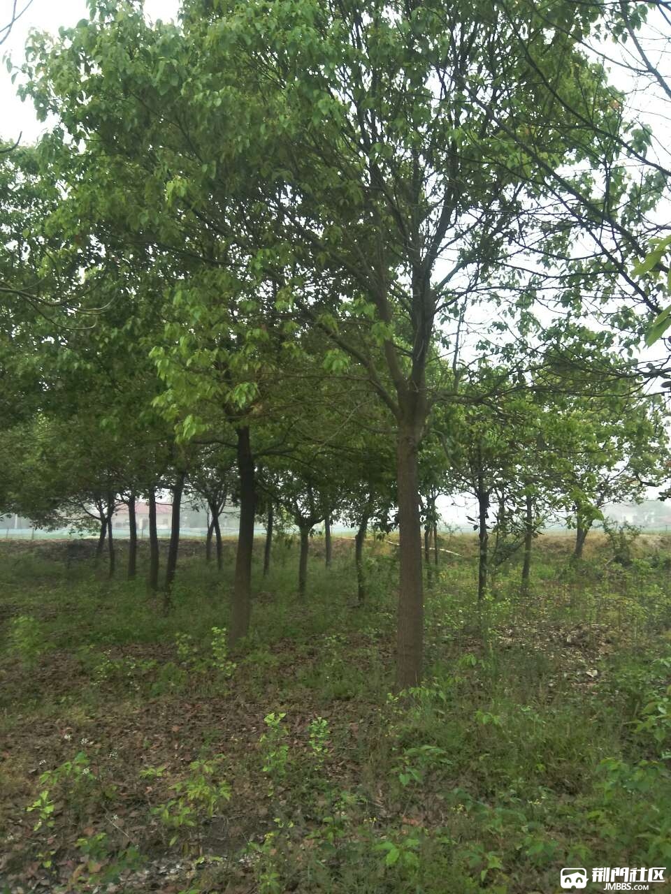 20180427_2944072_1524809309671.jpg
