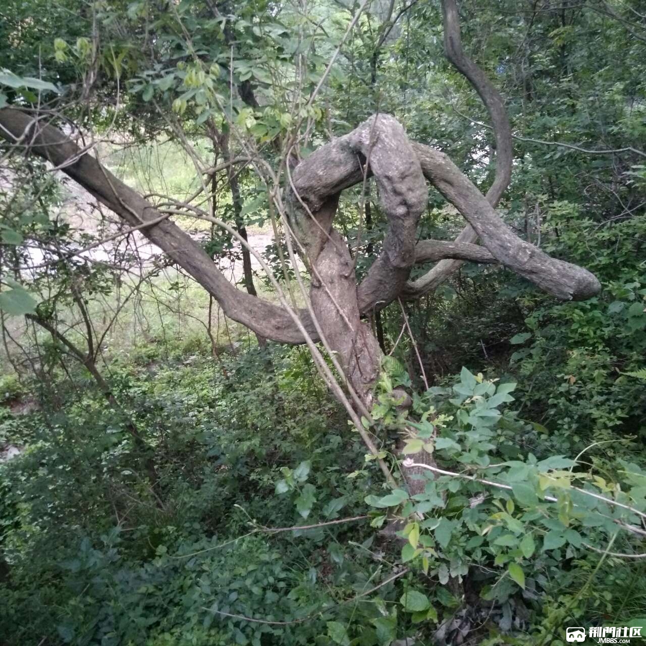 20180509_3493170_1525864431441.jpg