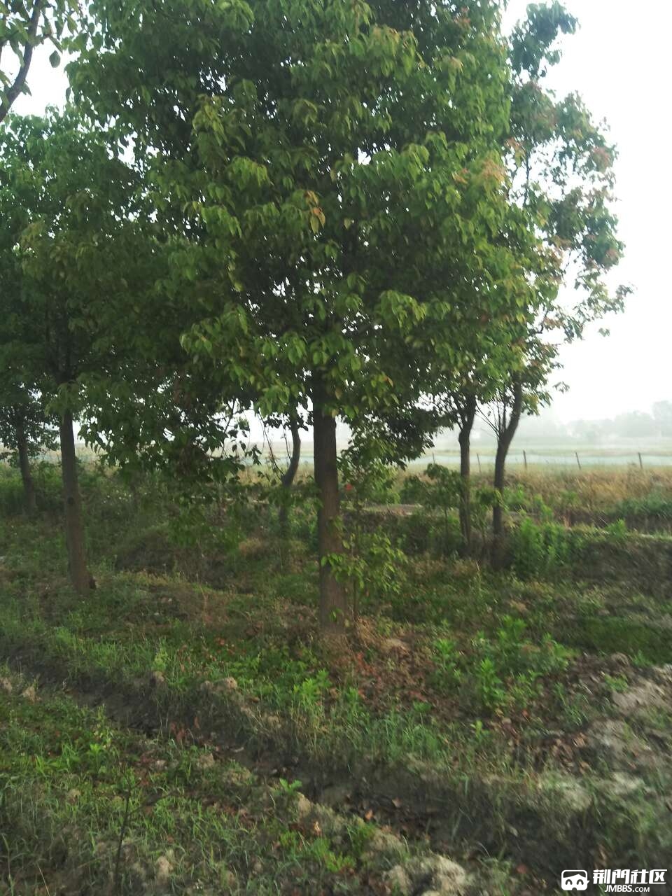 20180509_2944072_1525868688949.jpg