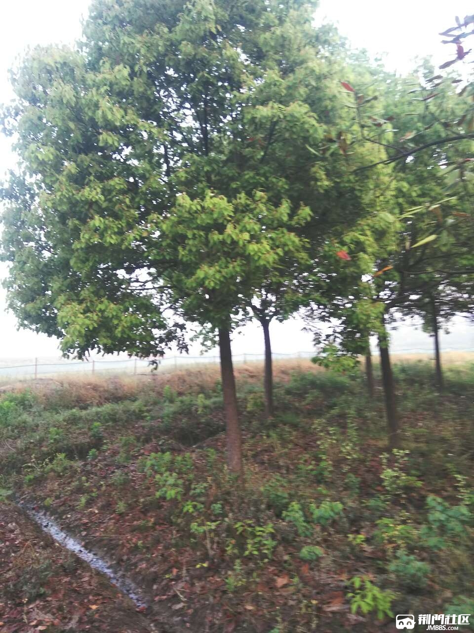 20180509_2944072_1525868691150.jpg