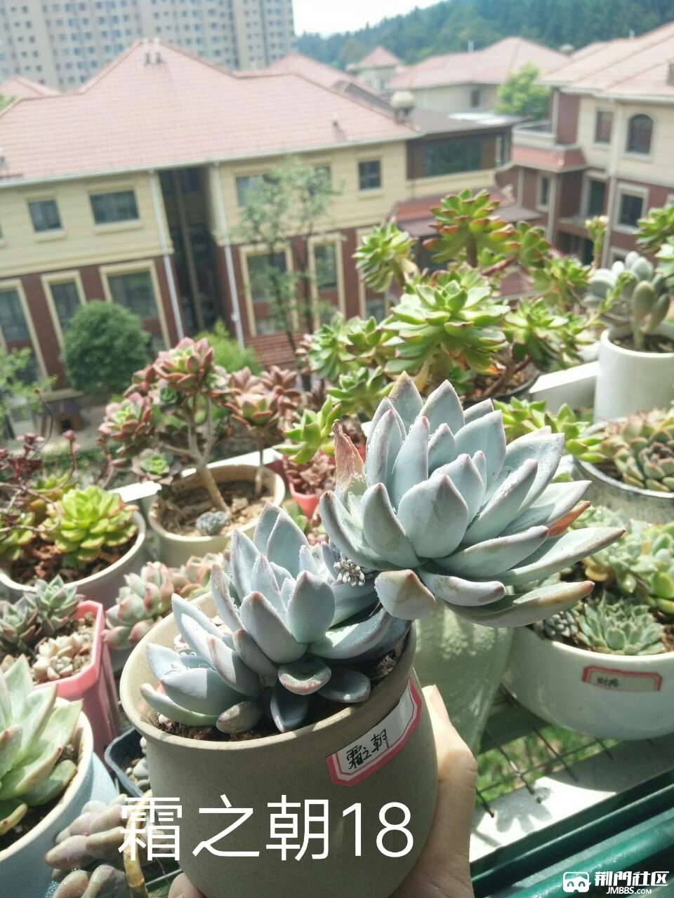 20180512_3570557_1526114807950.jpg