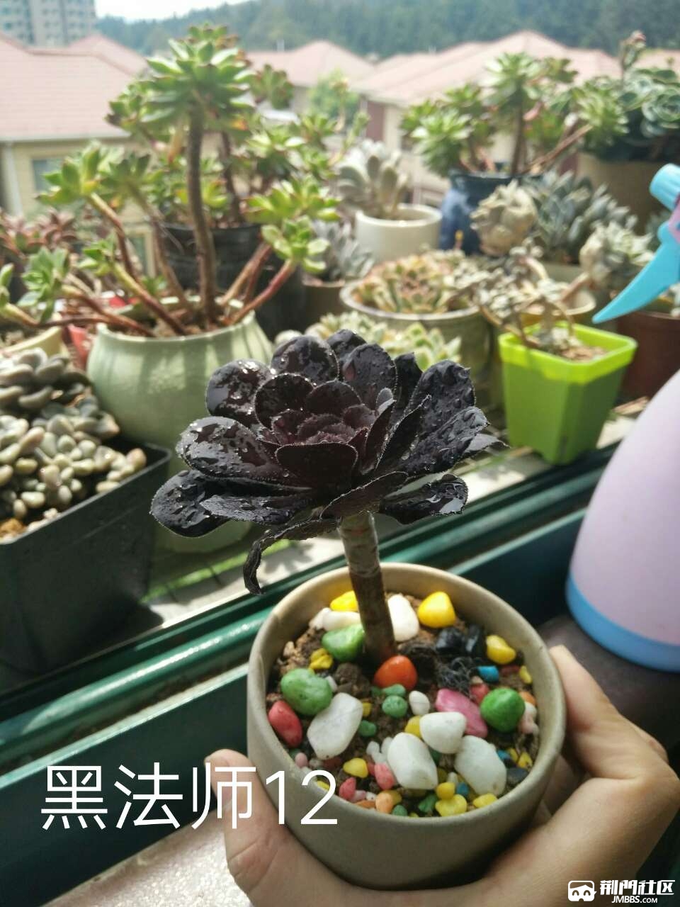 20180512_3570557_1526114808225.jpg