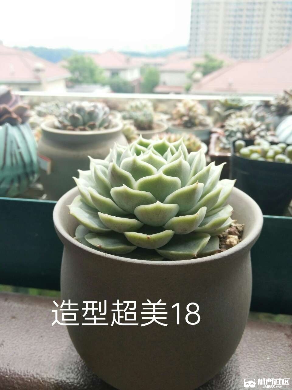 20180512_3570557_1526115111731.jpg