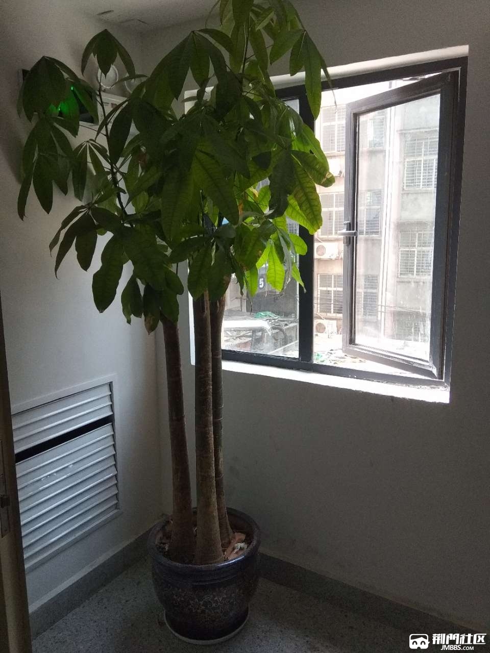 20180516_3539907_1526429099345.jpg
