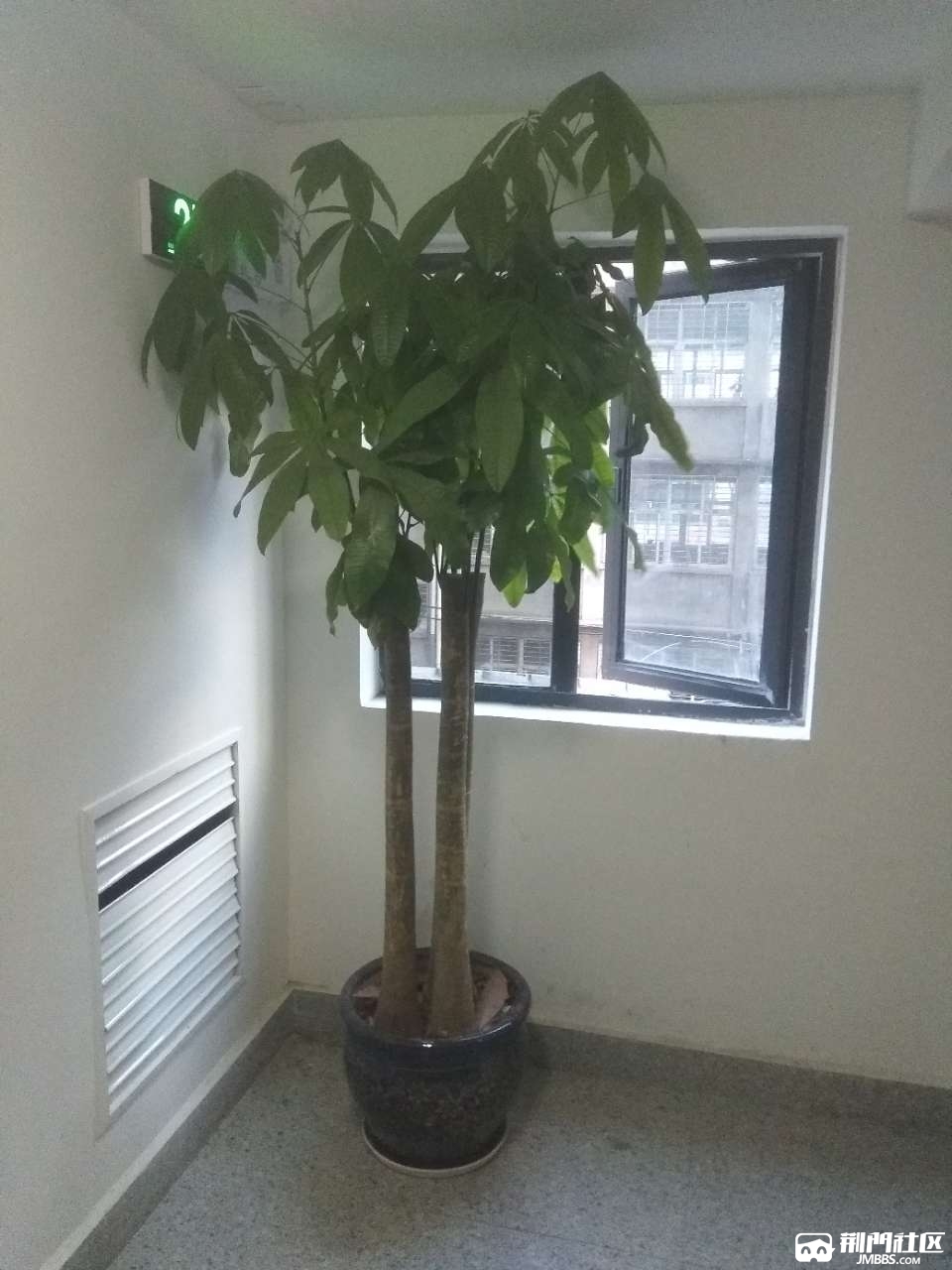 20180516_3539907_1526429098738.jpg