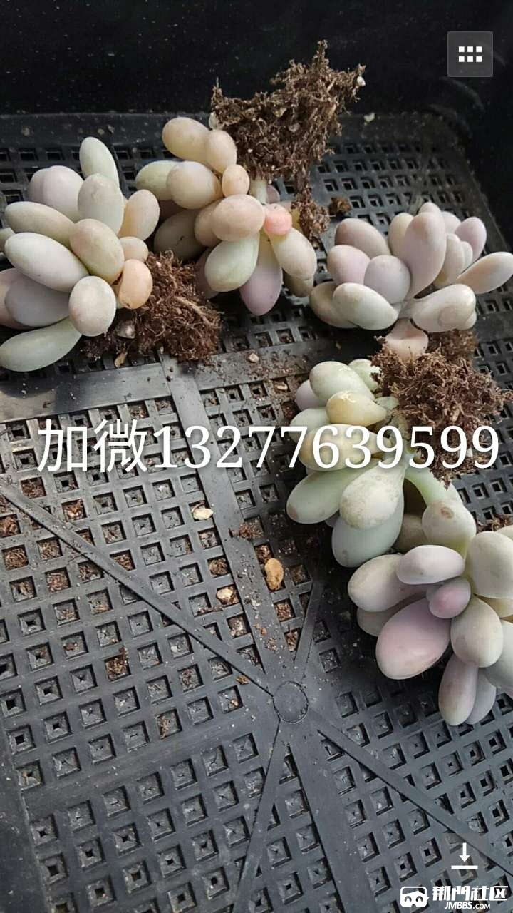20180518_3569908_1526651415219.jpg
