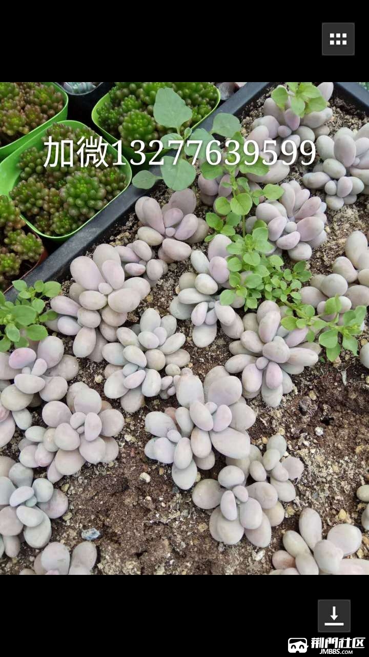 20180518_3569908_1526651415022.jpg