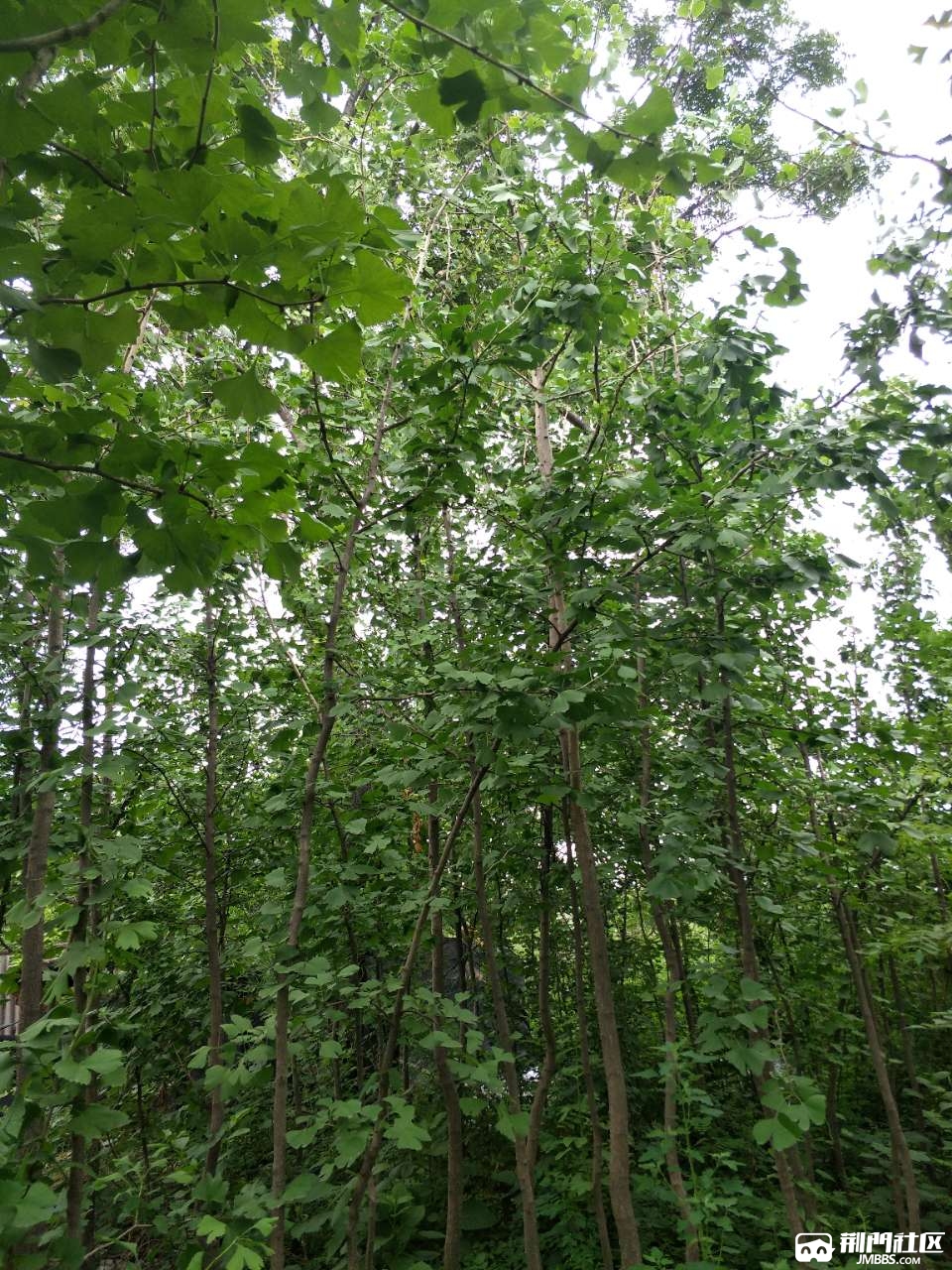 20180530_2792735_1527644743517.jpg