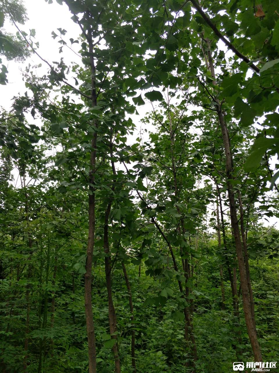 20180530_2792735_1527644743982.jpg
