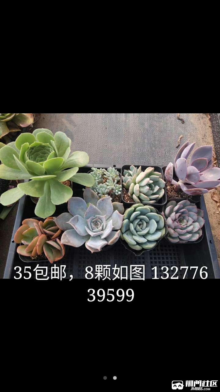 20180607_3569908_1528335822767.jpg