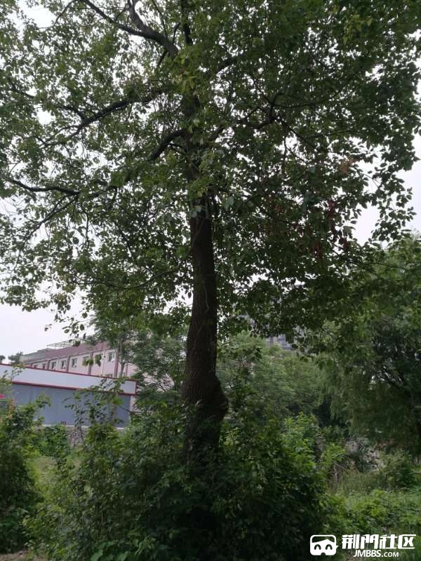 20180607_3564606_1528377343851.jpg