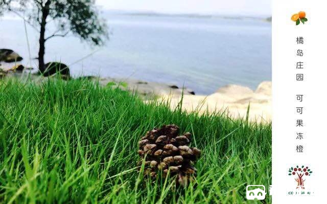 ΢��ͼƬ_201806080855095.jpg