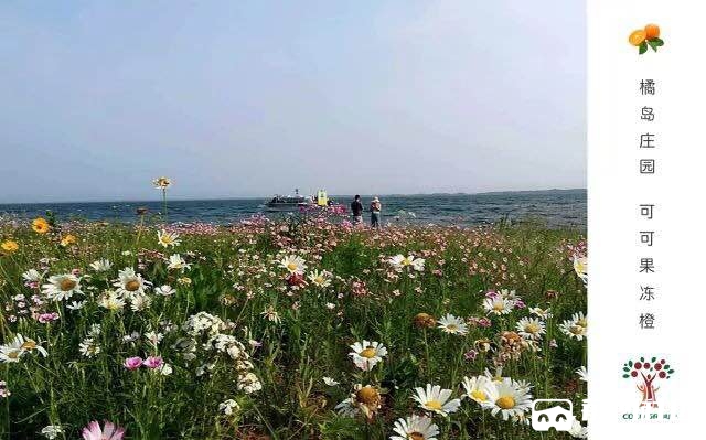 ΢��ͼƬ_2018060808550915.jpg