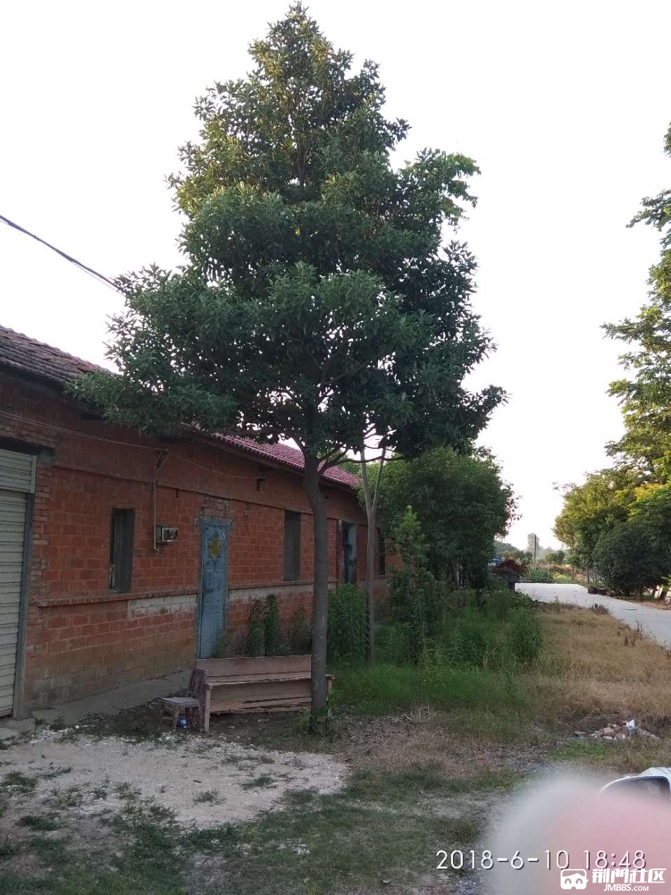 20180610_3462177_1528627843703.jpg
