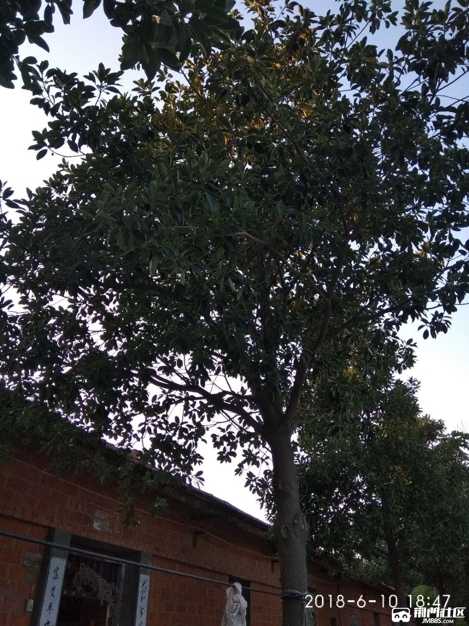 20180610_3462177_1528627844272.jpg