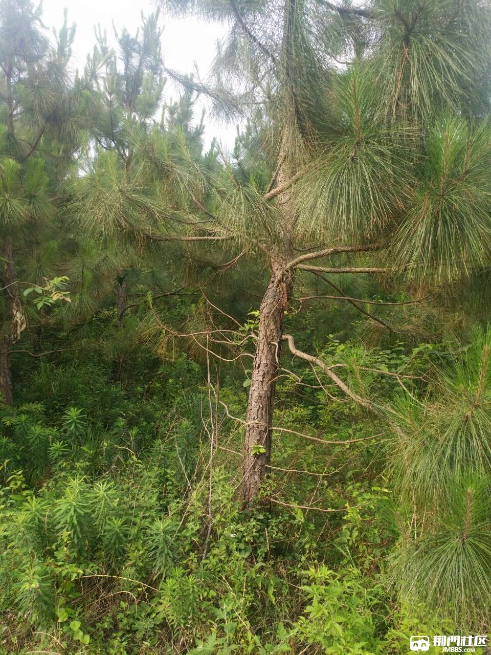 20180622_3556971_1529672977439.jpg