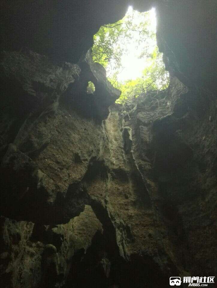 20180713_266295_1531465087352.jpg