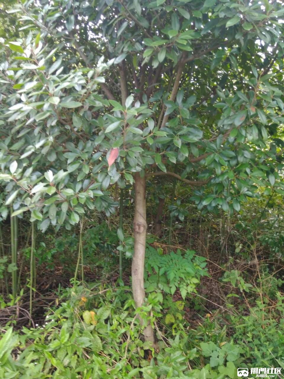 20180801_3591506_1533113543927.jpg